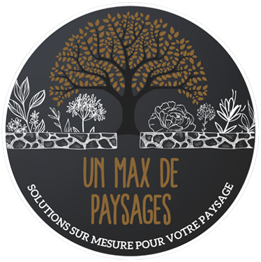 Max de Services